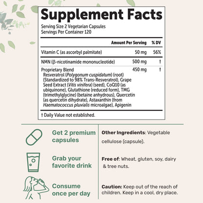 NMN 10-In-1 | 1000mg | 120 Vegetarian Capsules