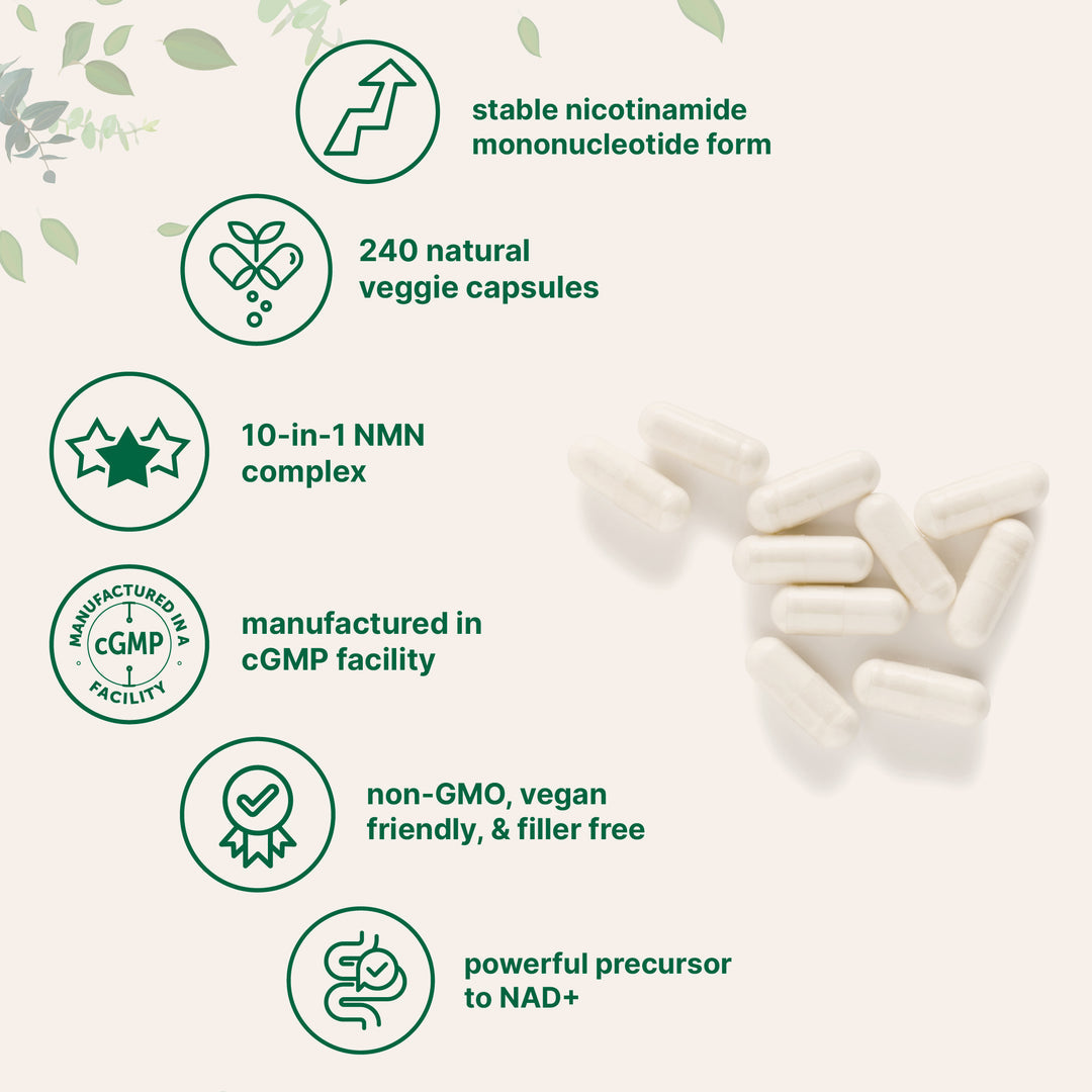 NMN 10-In-1 | 1000mg | 120 Vegetarian Capsules