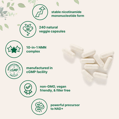 NMN 10-In-1 | 1000mg | 120 Vegetarian Capsules