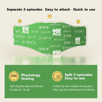 Hanpo Japanese Herbal patch Pad Balance Patch